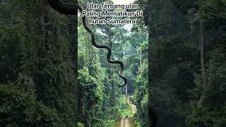 Download lagu SUARA NYA SEPERTI SUARA BURUNG ELANG mp3