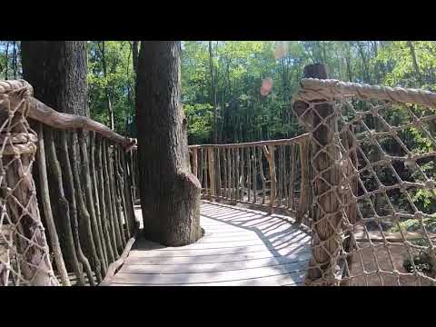 Oak Openings Swanton OH - Tour of the Tree Houses   6-20-2020