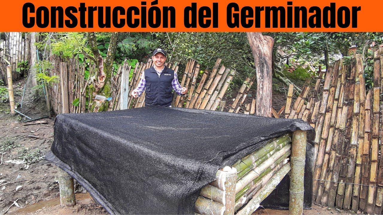 Cómo construir un germinador de Café