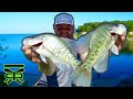 HOW to FIND CRAPPIE on ANY LAKE ‼ | #BARFLY