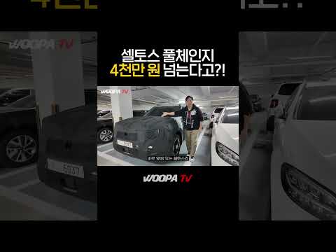 EV5 가격 논란...셀토스 풀체인지는 4천만원?!