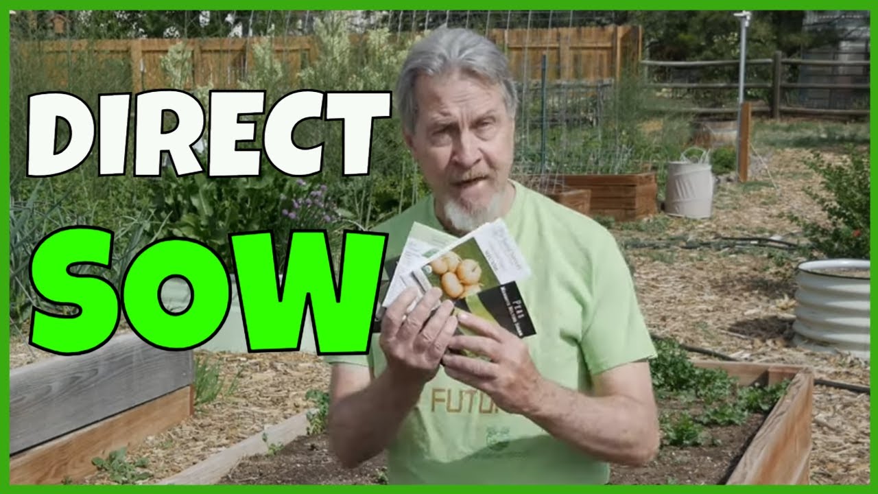 12 Plants to Direct Sow (And Why)