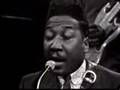 Muddy Waters - Got My Mojo Workin' 