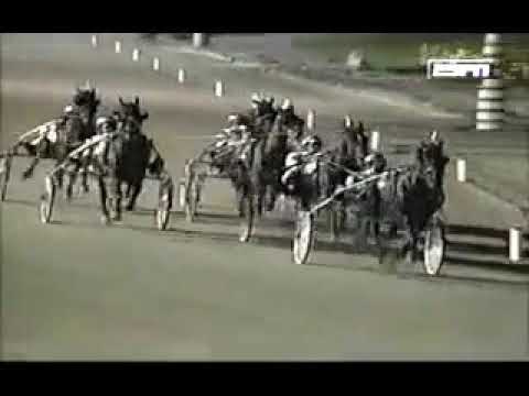 1995 Northfield Park -  Breeders Crown Open Pace - Harness Racing