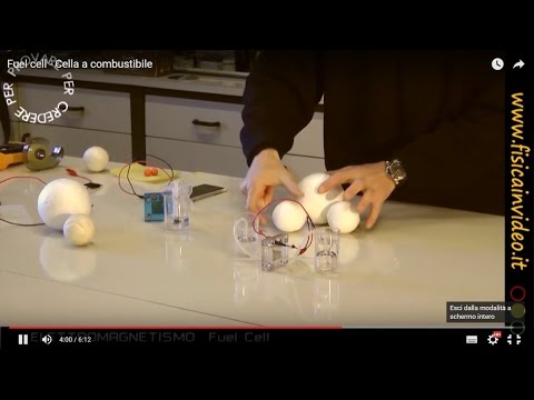 Formazione in palestra su combustione di grasso di video Caffè verde per risposte di perdita di peso Ucraina
