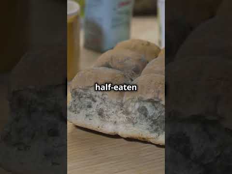 Freeze Bread for The Ultimate Health Hack! #shorts