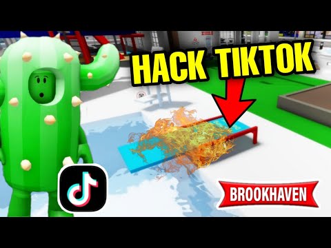 CACTUS TESTE LES HACKS TIKTOK BROOKHAVEN ! ROBLOX