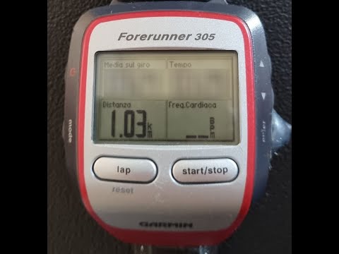 SECONDA PROVA CORSA 1 KM