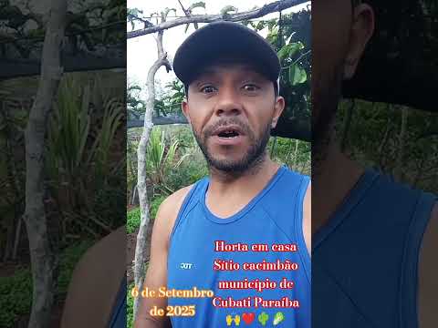 Horta em casa Sitio cacimbão município de Cubati Paraíba 🥬🌵#agricultor #horta #hortaemcasa #viral