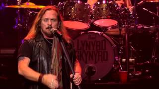 Lynyrd Skynyrd - Don't Ask Me No Questions (Live)