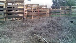 Autumn Garden Construction Complete