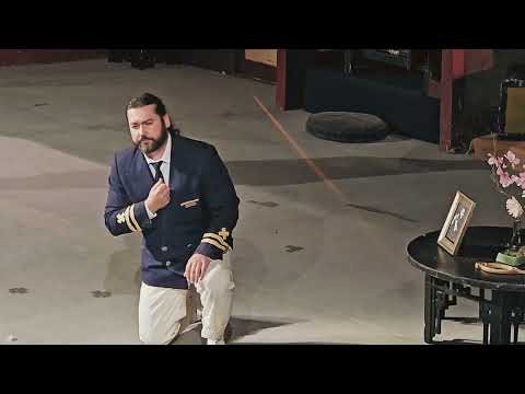 Addio fiorito asil - Teodor Ilincai 