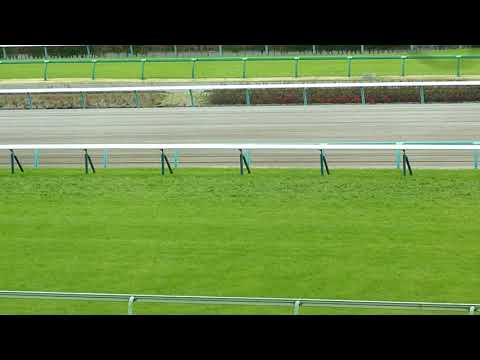 2019年皐月賞返し馬
