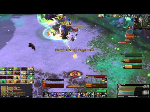 Saga (Silvermoon-US) vs. Brackenspore (M-Highmaul)