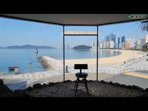 [#8] Procurando café em Busan, Coreia l Haeundae Beach l Oceanview l Jeju Vibe Cafe l Rendeja-vous☕