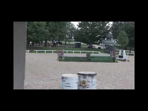 Highgate video 4