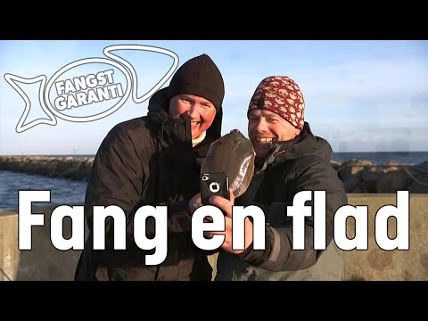Fiskeri efter fladfisk på Grenaa Havn