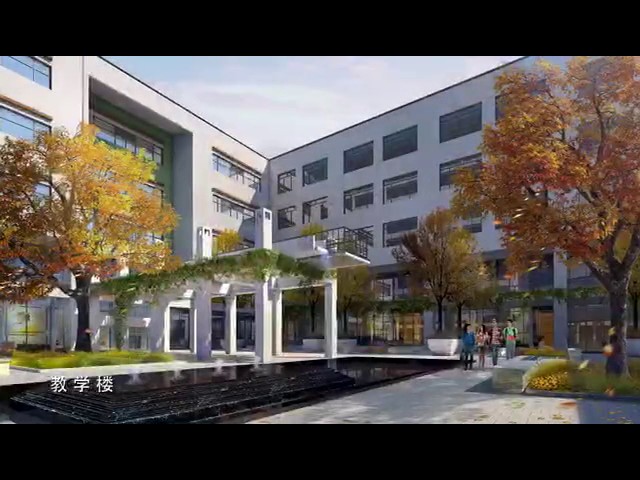 Silicon Lake College видео №1