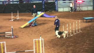 preview picture of video 'AKC Agility Yadkinville, NC'
