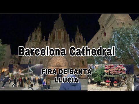FIRA DE SANTA LLÚCIA / BARCELONA CATHEDRAL / Roma Official