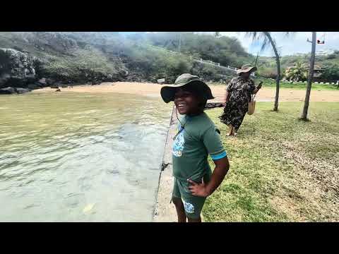 Ile Rodrigues-Vacances et decouvertes de cendrillon des Mascareignes(Part 1)