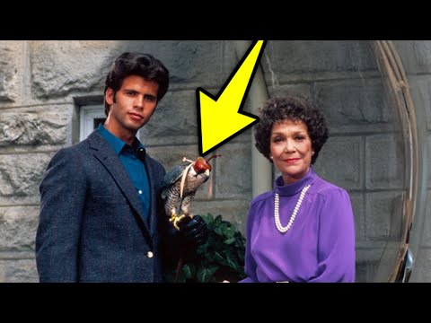 Falcon Crest (1981) 20 Weird Facts You Didn't Know About