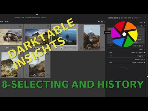 Selecting and History - Darktable Insights ep 8