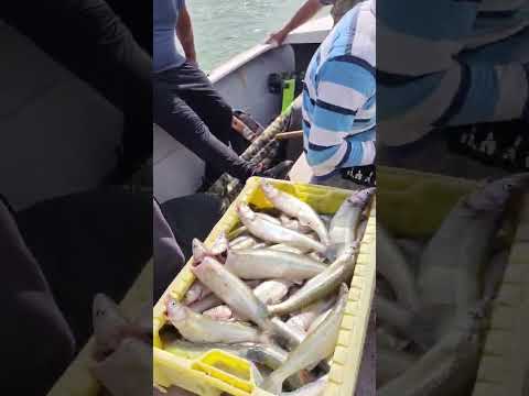 Excelente pesca en Monte Guamini guia EL PATA @juanmanuel.bermejo tel +54 9 2923 57-1118.