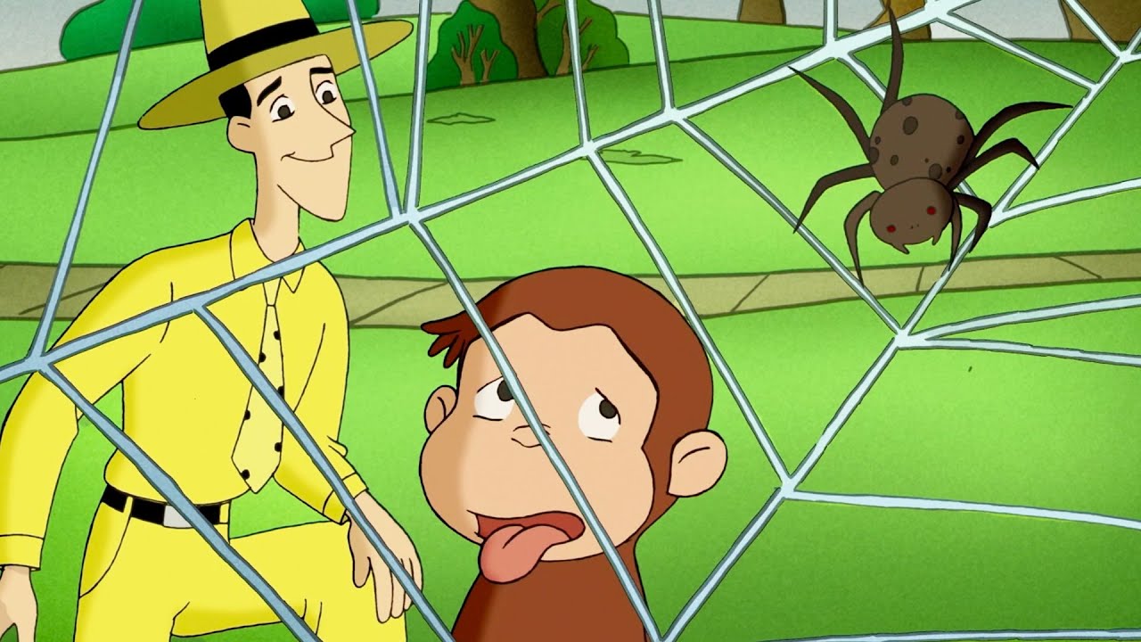 George Aprenda Sobre as Aranhas! 🐵 George, o Curioso 🐵 Desenhos Animados