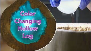 How to Make an LED Log Lamp using Epoxy
