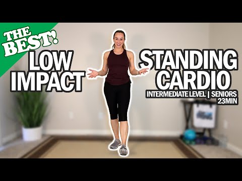 THE BEST Low Impact Standing Cardio Workout For Seniors | Intermediate | "Go-To" Series | 22Min