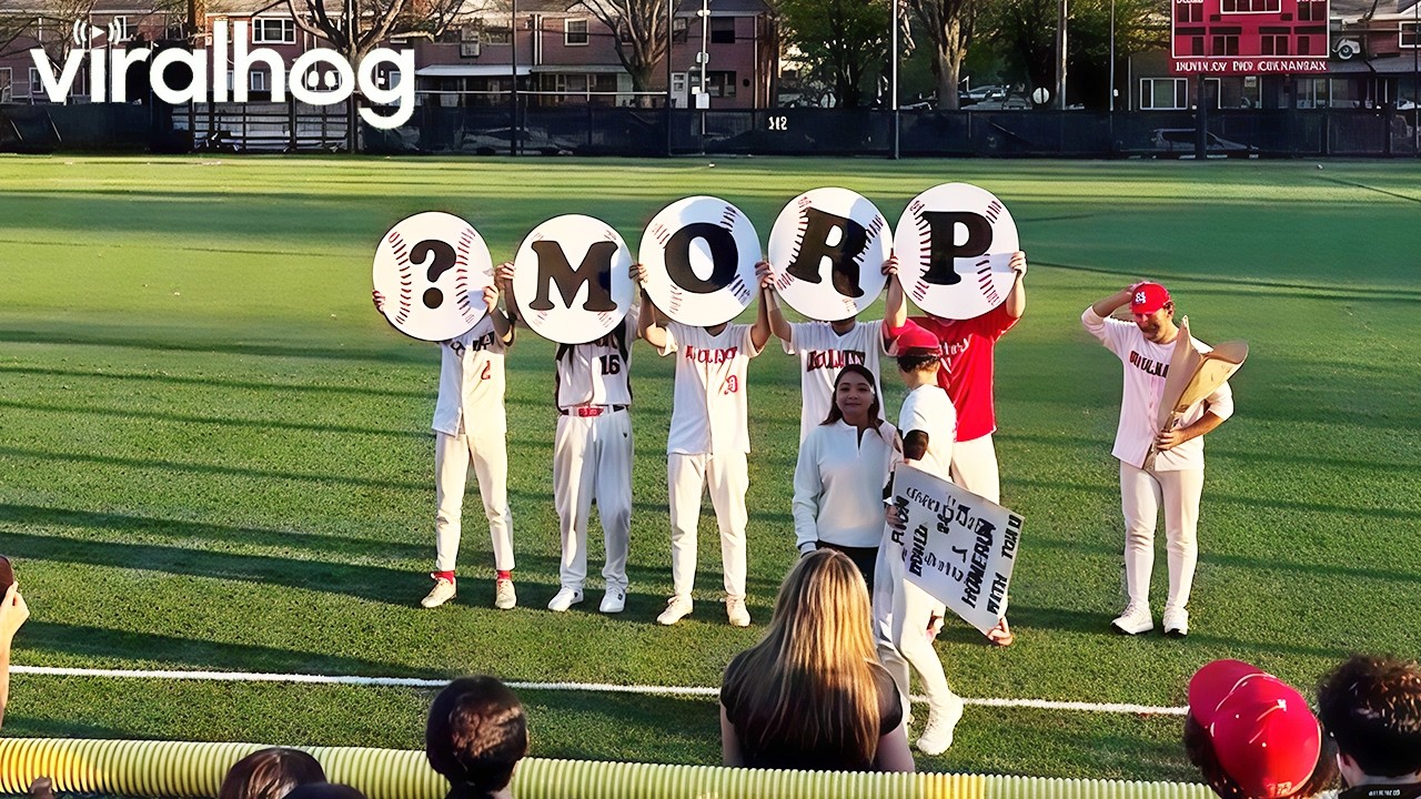 High School Prom Proposal Gone Wrong at Baseball Game || ViralHog