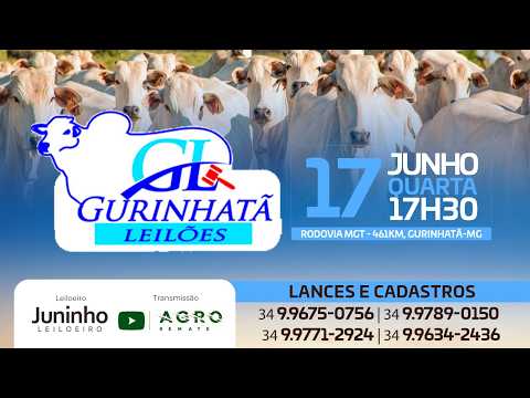 LEILÃO DE CORTE - GURINHATÃ LEILÕES 17/06/2026 - AGROREMATE