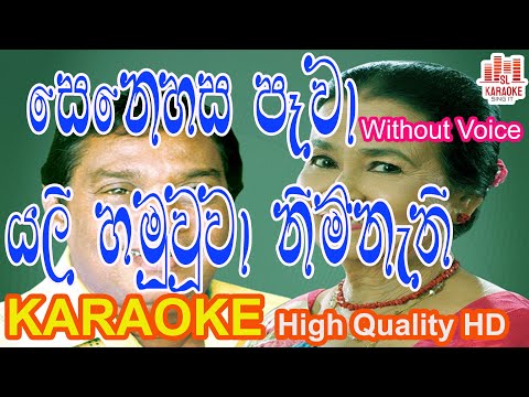 Senehasa pawa | සෙනෙහස පෑවා යලි හමුවුවා | Jothipala & Anjaleen Gunathilaka | Karaoke | Without Voice
