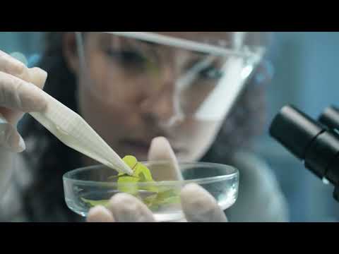 Tissue Clearing Reagents from TCI