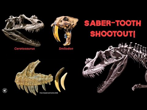 Ceratosaurus as a Saber-Tooth? What Its Teeth Reveal About How It May Have Hunted #Ceratosaurus