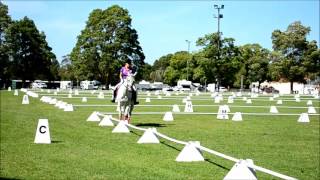 preview picture of video 'Berry Dressage Club Prep B December 2013'