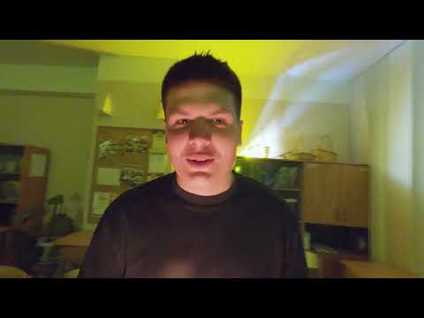 Ernest The Best —  Boxes Of Bush