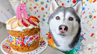 Apple and Cheese Birthday Cake For Dogs 🎂 DIY Dog Treats