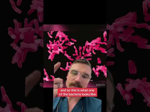 “Enhance your oral hygiene with homemade saltwater rinse!” - Dr. Jackson DMD #healthymouth