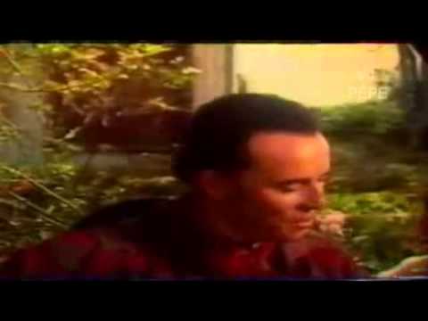 Picaço Velho   José Mendes (boa qualidade)