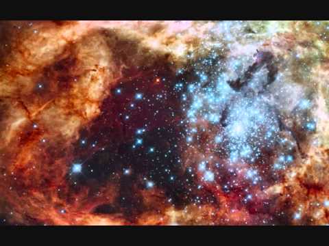 Schneider TM  Starfuck