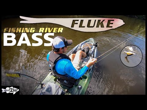 4 Tips for Bass Fishing Rivers with Flukes