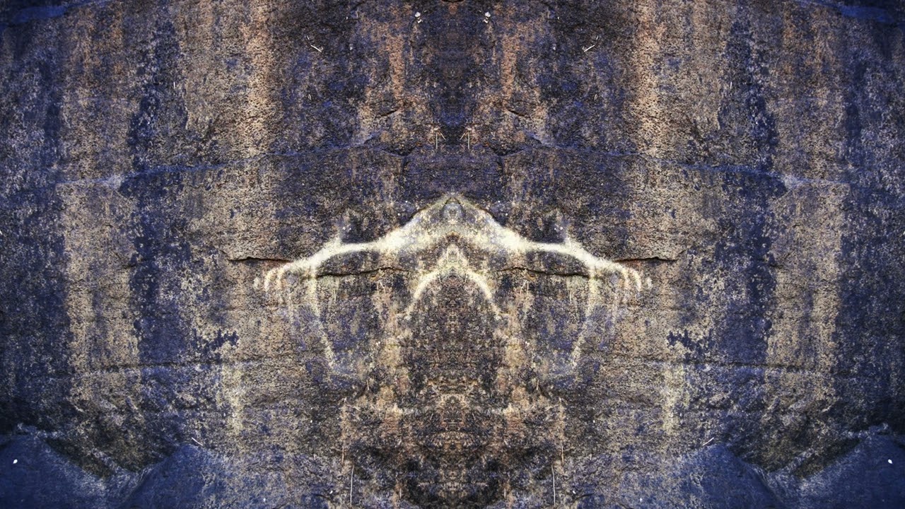 Breathing Cedar (Official Visualiser)