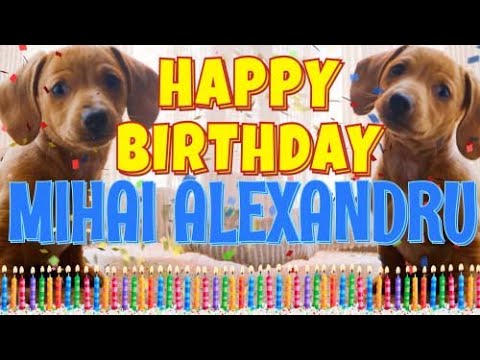 Happy Birthday Mihai Alexandru! ( Funny Talking Dogs ) What Is Free On My Birthday