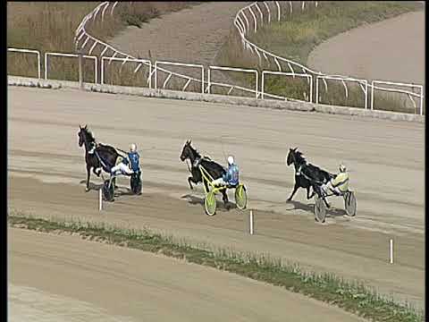 Trotto 26/10/2018 - 1ª prova di qualifica