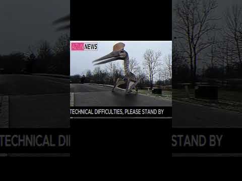 What creature is that? #analoghorror #scary #dinosaur