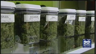 West Springfield Mayor Vetoes Recreational Marijuana Ban