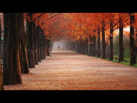 Un giorno credi (E. Bennato) – Cover by Les Arbonautes