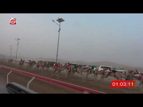  ش 5 (الطاغيه) لـ عمر سليم الدوده العامري 2:12:19 ، شارة الصندوق 2026/07/18 فطامين الوقن
